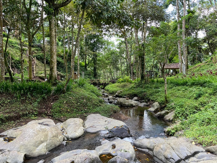 Joben evergreen, Sumber: lazwardyjournal.com