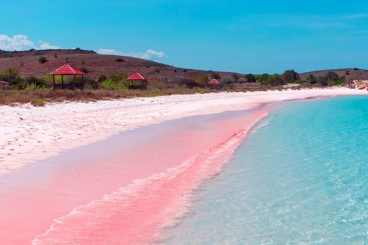 Pantai pink lombok, Sumber: travel.kompas.com