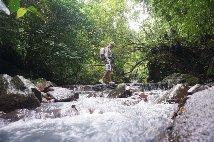 Taman wisata kerandangan, Sumber: mongabay.co.id